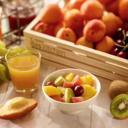 Ibis Mulhouse Ile Napoleon