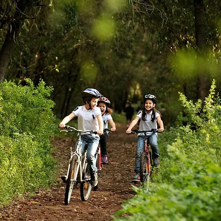 Hotel Ibis Mulhouse Ile Napoleon 3*