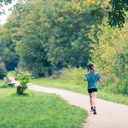 Ibis Mulhouse Ile Napoleon Hotel Sausheim