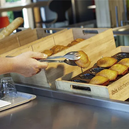 Ibis Mulhouse Ile Napoleon מלון