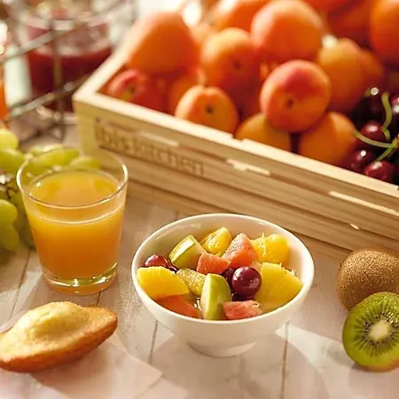 Ibis Mulhouse Ile Napoleon Отель