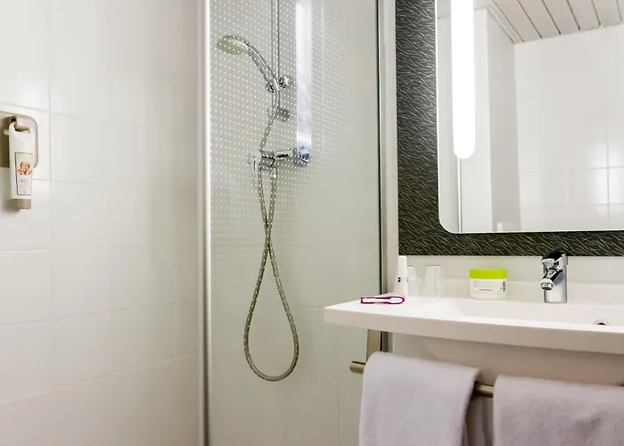 Ibis Mulhouse Ile Napoleon 3* 소세임