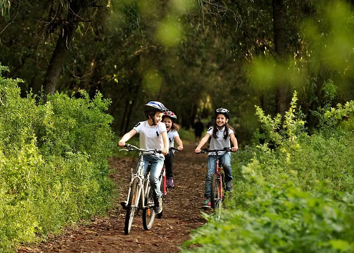 Hotel Ibis Mulhouse Ile Napoleon 3*