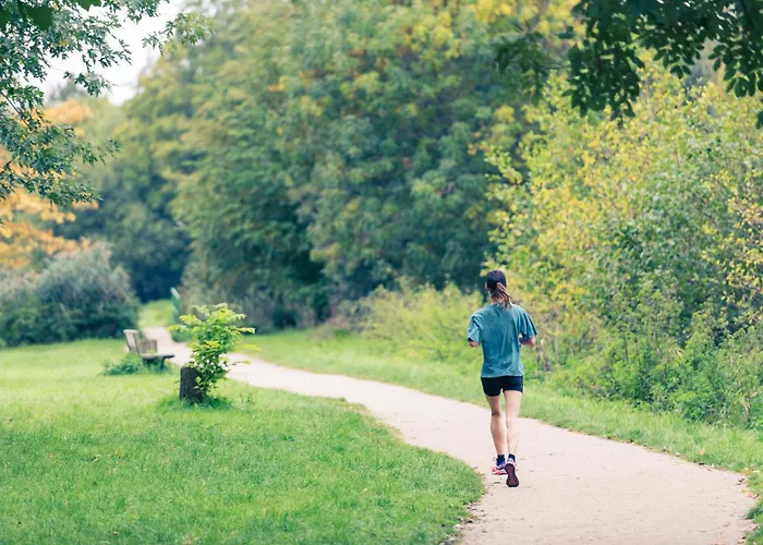 Ibis Mulhouse Ile Napoleon Hotel Sausheim