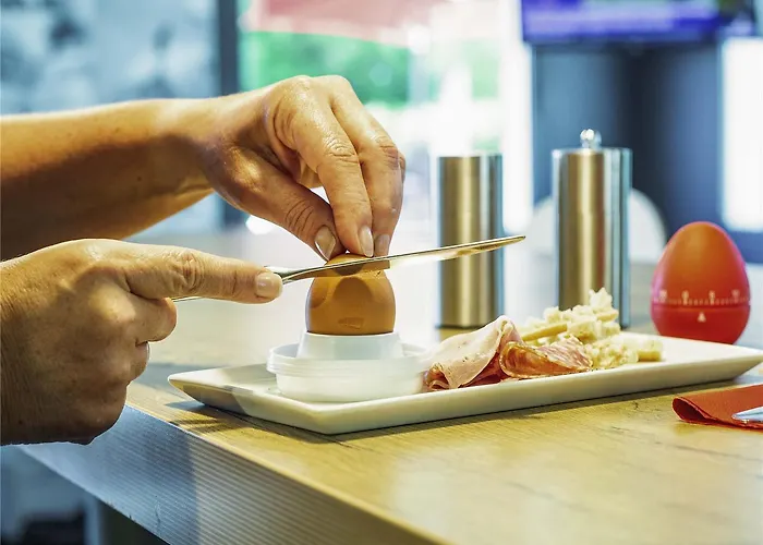 Ibis Mulhouse Ile Napoleon Hotel